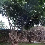Venkovský dům La Casona De Villanueva De Colombres Villanueva (Asturias)