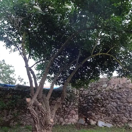 Casa rural La Casona De Villanueva De Colombres Villanueva (Asturias)